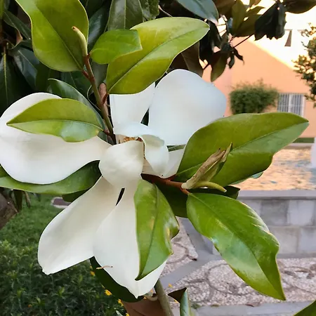 Apartamento Elviria Gardens Marbella