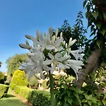 Elviria Gardens *