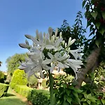 Elviria Gardens